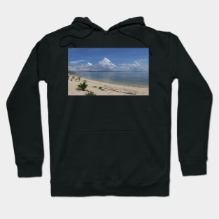 tropical beach view Hoodie